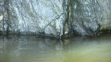 Close-up-of-shiny-rocks-at-edge-of-water