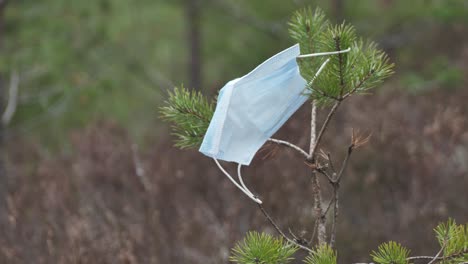 Medical-disposable-blue-protective-mask-floats-in-the-wind-on-the-pine-branches,-coronavirus-Covid-19-virus-waste