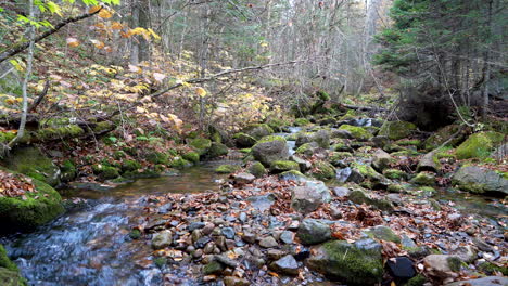 Fluss-In-Einem-Berg-Im-Herbst