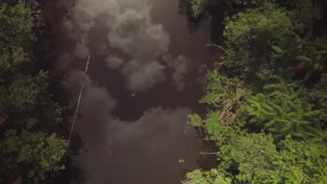 Vista-Aérea-De-Un-Río-En-La-Selva-Amazónica