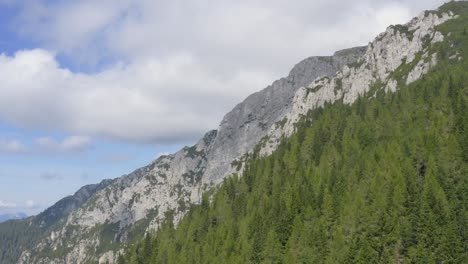 Luft-über-Grünen-Waldbäumen-Und-Alpinen-Felsbergen,-Alpen