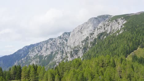 Unberührter-Wald-Und-Alpengipfel,-Peca-Berg,-Slowenien