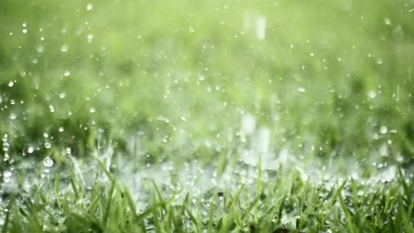 Rain-Drops-Falling-in-the-Grass-in-Slow-Motion-Super-Camera-4K-at-240-FPS