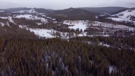 Drone-flying-slowly-over-winter-forest-with-hills-covered-with-snow-on-background