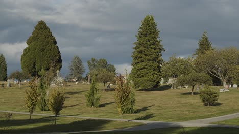 Landschaft-Eines-Friedhofs-Mit-Großen-Bäumen,-Die-Im-Wind-Wehen