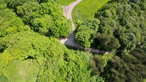 Aerial-view-of-healthy-green-forest-on-a-nature-reserve,-rising-drone-shot