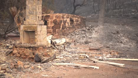 home-lost-from-destructive-wildfire