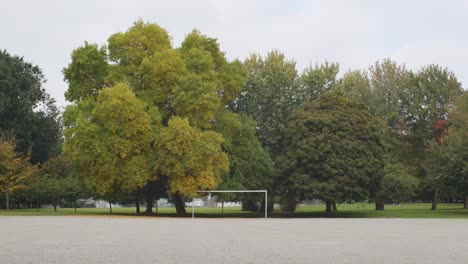 Kiesfußballplatz-Mit-Großen-Bäumen-Dahinter