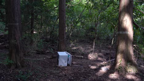 Fridge-thrown-away-in-the-middle-of-forest-floor,-pollution