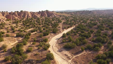New-Mexico-Desert-Drone-with-dry-riverbed
