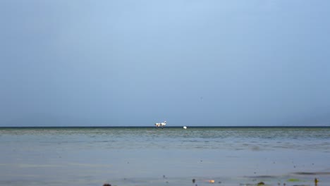 Flamingos-on-horizon-line-of-calm-lake-surface-seeking-for-food-in-Ohrid-lake