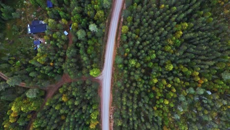 Road-Through-The-Forest-Surrounded-By-The-Autumnal-Trees-In-Dalarna,-Sweden