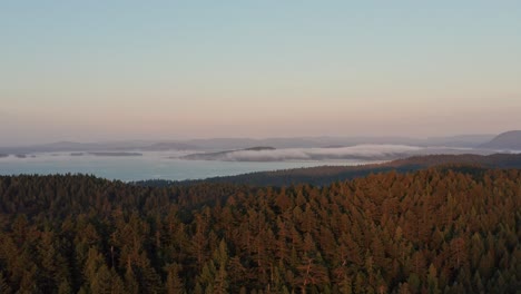 Drone-Aerial-Shot-over-Forest-with-low-flying-clouds-in-the-distant-background-during-sunset