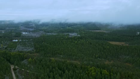 Nubes-Blancas-Y-Nieblas-Sobre-El-Exuberante-Bosque-Verde-Temprano-En-La-Mañana-En-Dalarna,-Suecia