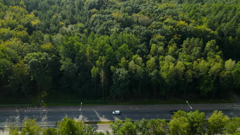 Carretera-De-Hormigón-Entre-El-Denso-Bosque-De-Follaje-Con-Vehículos-Que-Viajan-Durante-El-Día-Soleado-En-Witomino,-Polonia