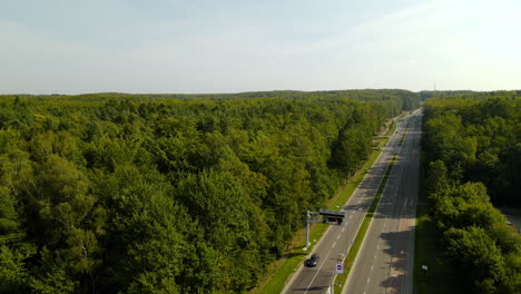 Wildlebende-Kreuzung-Straße-Autobahn-Gefahr-Witomino-Wald-Polen