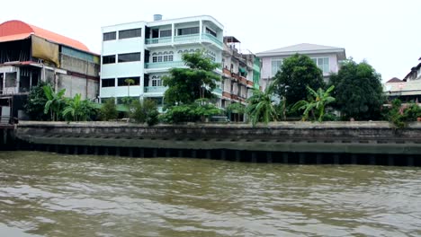 Pleasant-view-of-river-bank-filled-with-trees-and-greenery