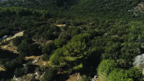 4k-drone-fly-over-looking-down-on-natural-forest-and-tilting-up-to-the-sky