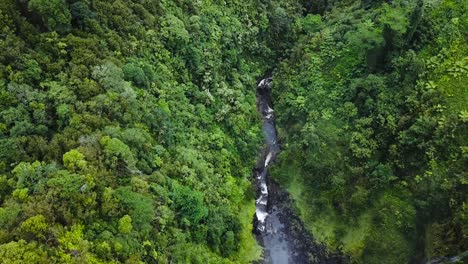 Drone-going-above-Akaka-falls-in-Hawaii