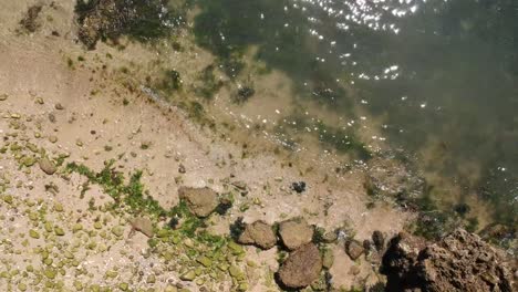 Waves-crashing-with-seaweed.
Drone-footage