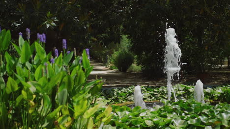 Water-springing-out-of-fountain-in-green-botanical-garden---slow-motion