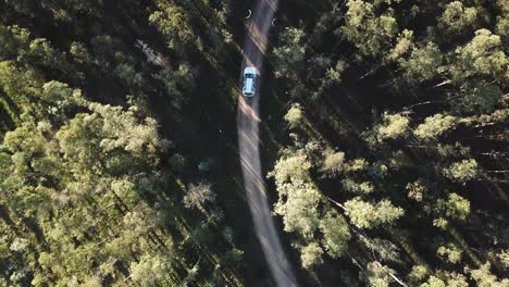 Close-up-of-car-driving-on-path-through-woods