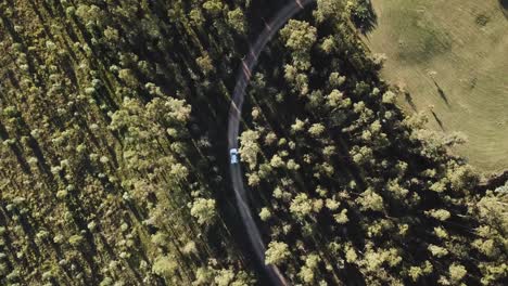 Car-driving-on-path-in-middle-of-forest