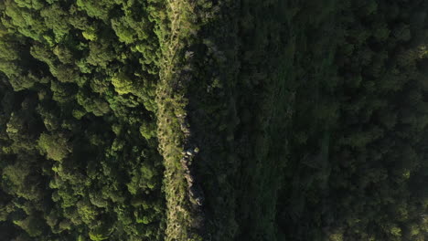 4K-drone-shot-of-a-mountain-ridge-covered-with-trees-and-bushes-during-sunset-at-Border-Ranges-National-Park,-New-South-Wales-in-Australia