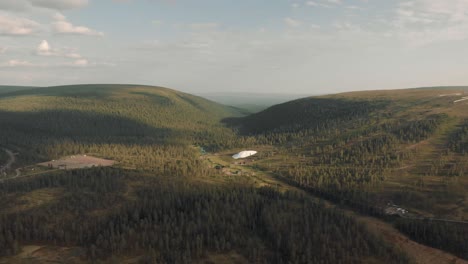 Flying-over-a-forest-in-the-Swedish-mountains-in-the-summer-time
