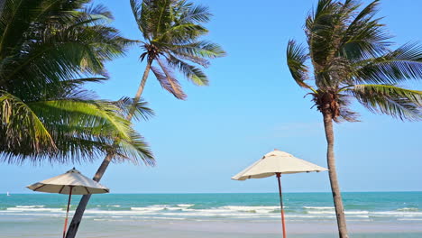 Beach-umbrellas-and-coconut-palms-under-the-wind-near-the-sea-on-sunny-day