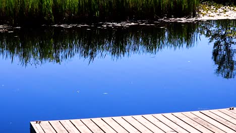 Video-of-a-dock-on-the-water-in-the-summertime-with-blue-water-and-warm-weather