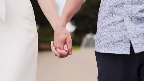 Close-up-of-a-young-couple-holding-hands-and-walking-in-a-park
