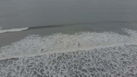 Surfers-Enjoying-Waves-In-Nantasket-Beach,-Hull,-Massachusetts---high-angle,-static-shot