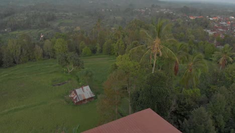 Hd-4k-Bali-Reisfelder-2018