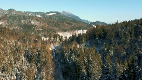 Aerial-drone-flight-moving-above-snowy-hills-and-tree-tops-in-the-Bavarian-Alps-in-winter-in-Germany,-close-to-Austria