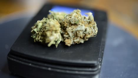 Close-up-rotating-shot-marijuana-weed-buds-on-weighing-scales-grown-organically