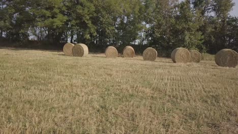 Drone-4k-panning-movement-in-a-hay-bales-field-with-trees-in-the-background