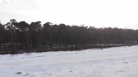Aerial-shot-of-sandy-beach-and-boreal-forest-in-Ustka-in-winter