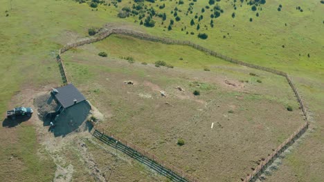 Fenced-ranch-in-remote-mountainside,-dead-cow-carcasses-in-farmland,-aerial-view