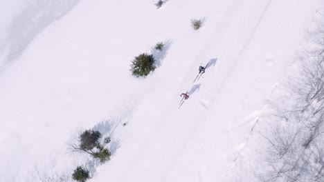 Dramatic-crane-down-tilt-and-pan-drone-shot-of-couple-crossing-snow-covered-landscape-in-cross-country-skis