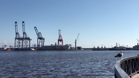 Slow-Motion-Clip-of-an-industrial-dock-harbor-with-containers-and-cranes-on-the-background-and-a-blue-sky