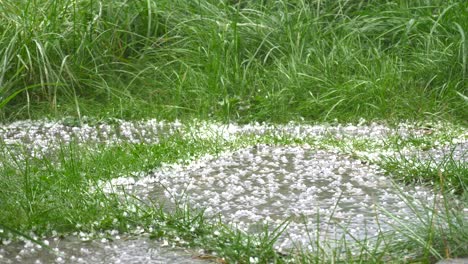 Hail-falling-down-the-sky-in-the-bright-day-with-green-grass-in-the-background