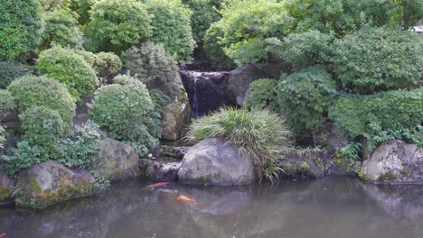 Kleiner-Wasserfall-Mit-Koi-fischen-Im-Teich-Im-Japanischen-Landschaftsgarten