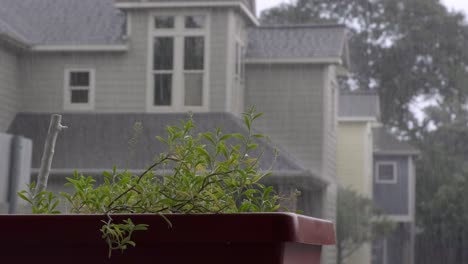 Storming-in-Houston-over-planter