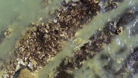 Top-down-aerial-view-of-the-tide-rolling-in-over-rocks-at-Brighton-Beach,-UK