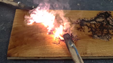 Doublereno videos - Dailymotion  Burning wood with electricity,  Lichtenberg, Wood burning