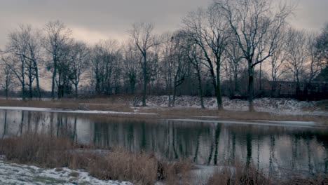 rural-cinematic-shot,-nature-at-snowy-winter-trees-without-leaves-near-lake,-panning-shot