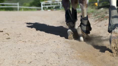 Close-up-slow-motion-shot-of-a-horses-legs-and-hooves-as-he-trots-in-a-round-pen