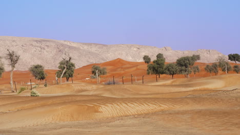Naturschutzgebiet-In-Der-Arabischen-Wüste-Mit-Sandsteinberg-Im-Fossilen-Felsen,-Sharjah,-Vereinigte-Arabische-Emirate