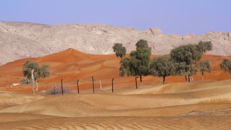 Geschütztes-Gebiet-In-öder-Wüste-Im-Fossilen-Felsnaturreservat-Mit-Kalksteinbergen-Im-Hintergrund-In-Sharjah,-Vae---Statischer-Schuss